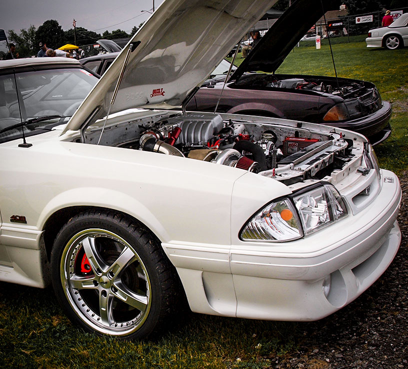 FoxBody4