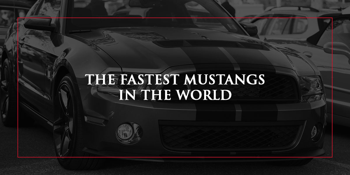 The Fastest Mustangs in the World